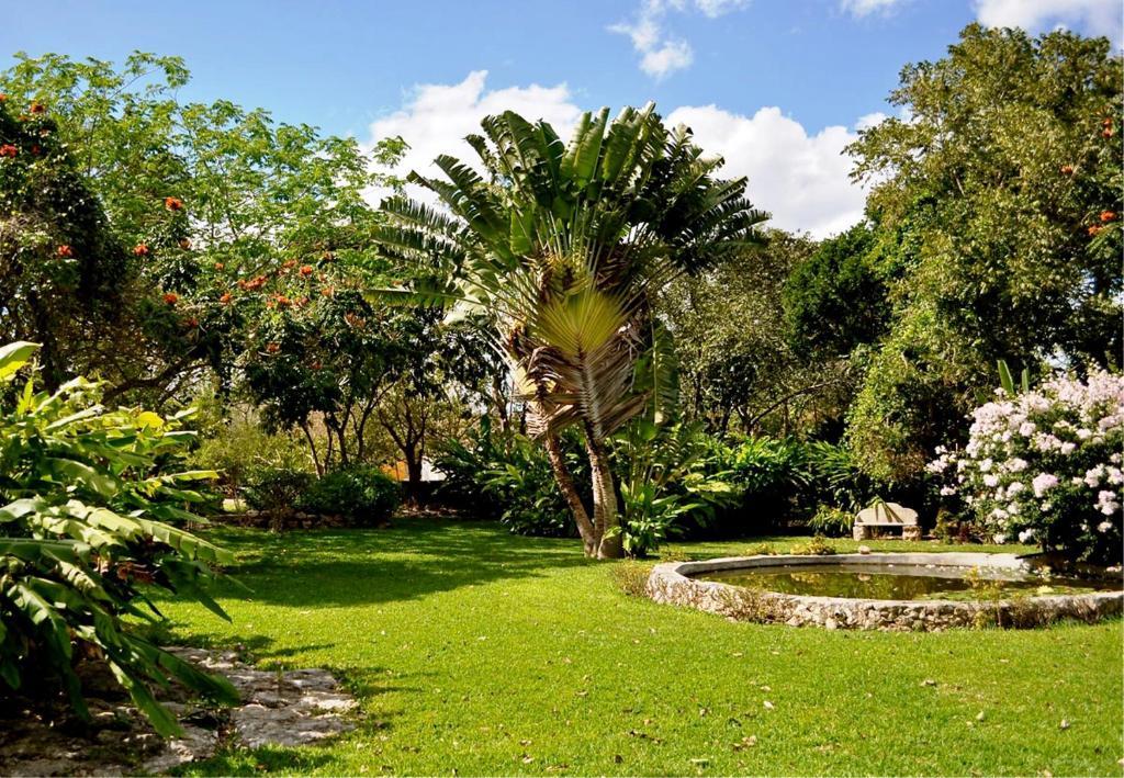 מלון Dzidzantún Hacienda San Francisco Tzacalha מראה חיצוני תמונה